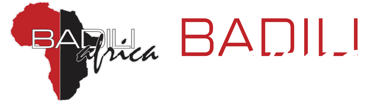 Badili Africa logo