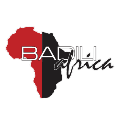Badili Africa logo