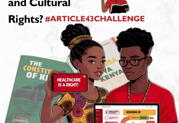 Article 43 Challenge